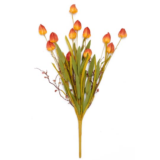 21" Chinese Lantern Bush, 3ct.